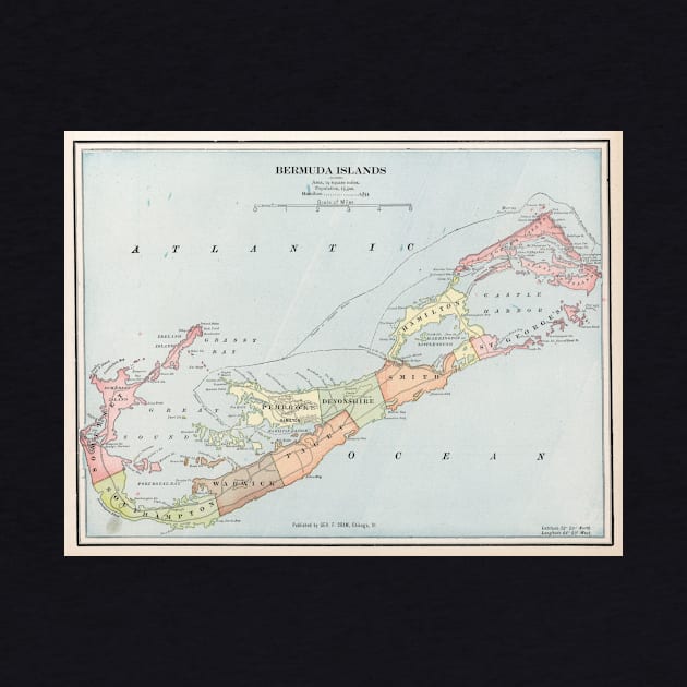 Vintage Map of Bermuda (1901) by Bravuramedia